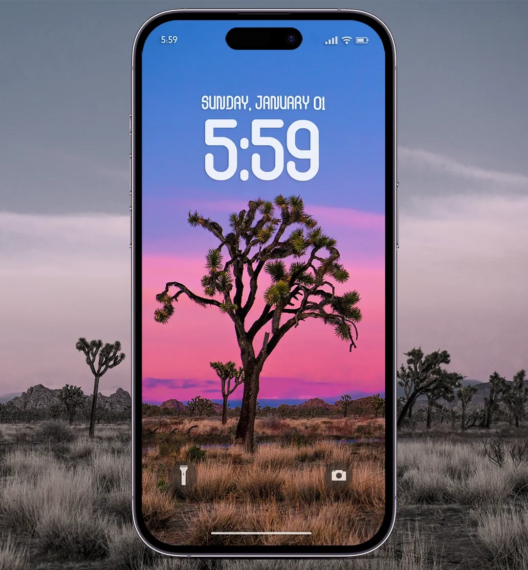 A beautiful Joshua Tree Park sunset photo to decorate your iOS 16 iPhone or Android device.