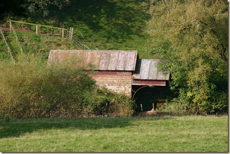 20101010_IMG_3888s