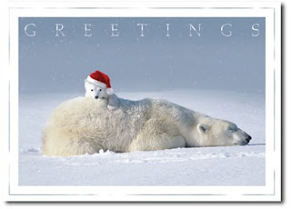 Funny Christmas Cards