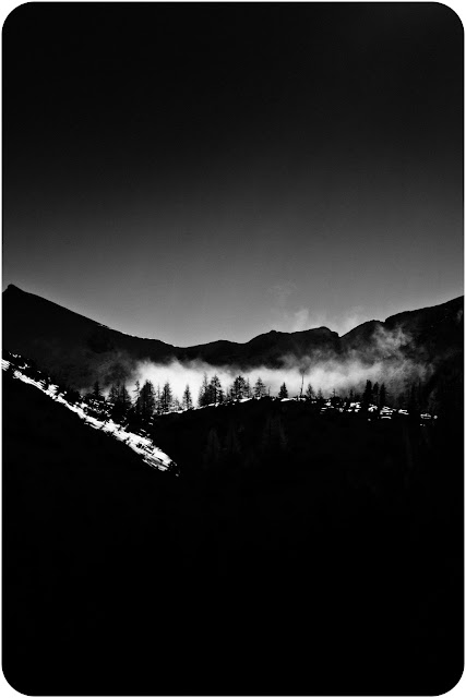 Alpejska zima. Drzewa zimą w Alpach. Fotografia krajobrazowa czarno-biała. fot. Łukasz Cyrus, Ruda Śląska