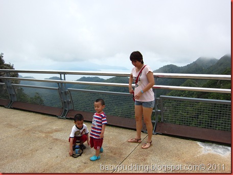 IMG_2146 IMG_2146