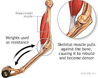 http://theonlywayproductions.blogspot.co.uk/2016/07/my-exercise-routine-painful-progressive.html