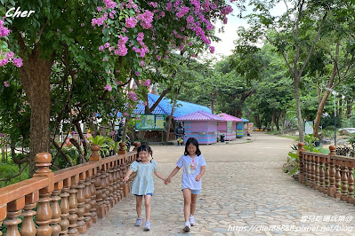 原來這才是動物園！一秒置身非洲草原 零距離體驗餵食樂趣 輕鬆