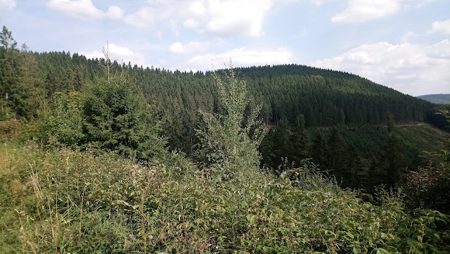 Sauerland wandern Wetter blog Schmallenberg Meschede X23 Schieferweg