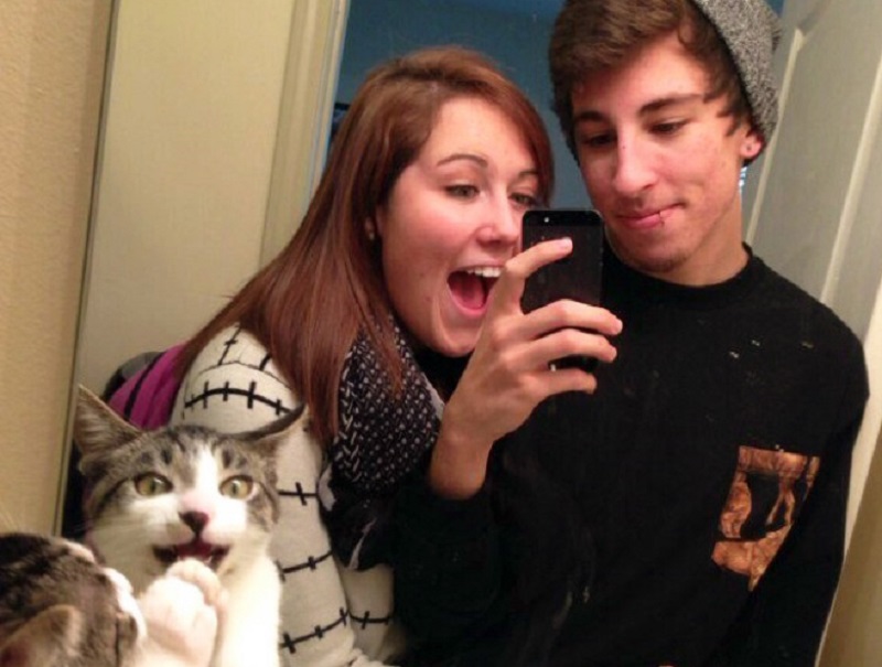 Cats Hilariously Photobombing Purrfect Funny Shots