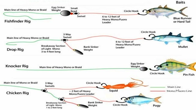 Tips dan Teknik Mancing Ikan Kuwe Rambe