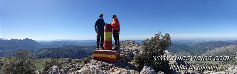 Caillo - Cintillo desde Benaocaz