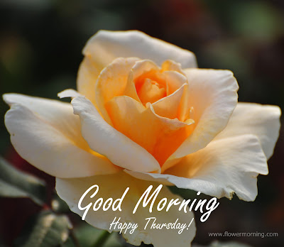 Good Morning