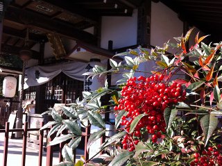 Img_6067