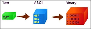 ascii encoding