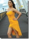 charmi hollywood hot hot (13)