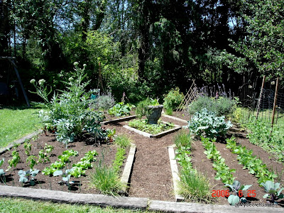 Triangle raised beds look good