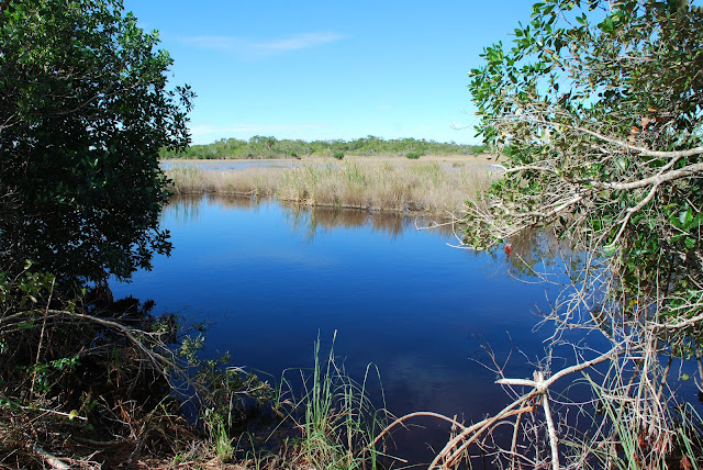 Everglades National Park's Ten Thousand Islands
