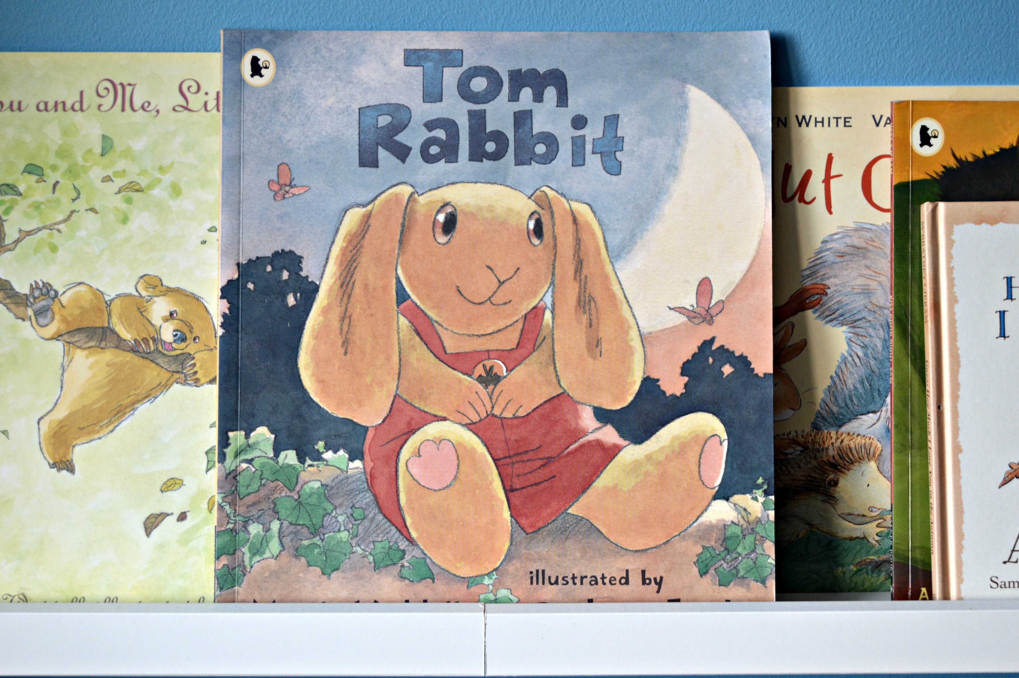 Tom Rabbit