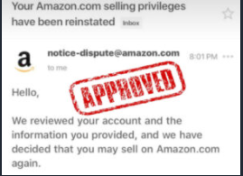 Amazon Appeal Kit Review - How do I write a good appeal on Amazon? | What happens if Amazon suspends your account?