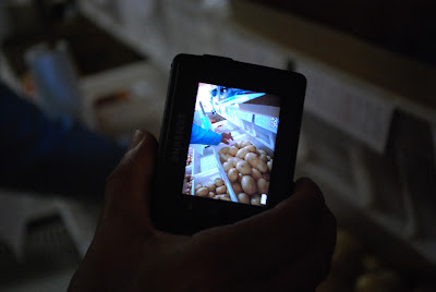 Imagem do visor da câmera de Luiz, no visor está aparecendo a foto que Luiz fez de sua mão esquerda segurando uma batata.