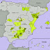 El aceite de Oliva en España y sus tipos