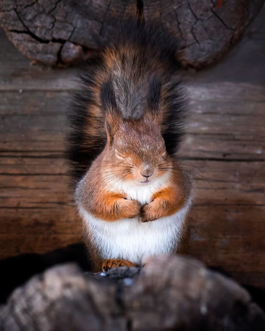 Finnish Photographer Shows The Beauty Of Fairy Forests In Finland