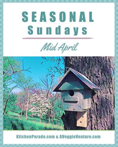 Seasonal Sundays ♥ KitchenParade.com, a seasonal collection of recipes and life ideas in and out of the kitchen.