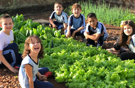 General Mills celebra sucesso do programa 'Crianças Saudáveis, Futuro Saudável' com 252 mil pessoas beneficiadas