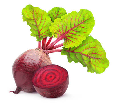 Baldness, skin fungus and sexual dysfunction treatment; Uses of Beetroot (Beta vulgaris)