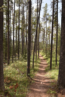 The Great Trail Alberta.