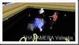 Snapshot_012