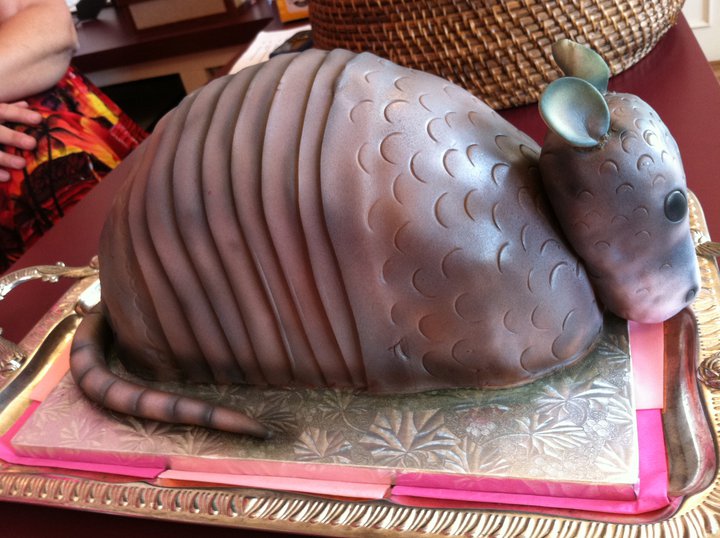 steel magnolias armadillo cake. Here is the cake they served