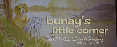 bunay's little corner