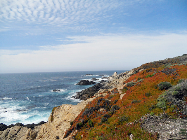 Big Sur California Highway No 1