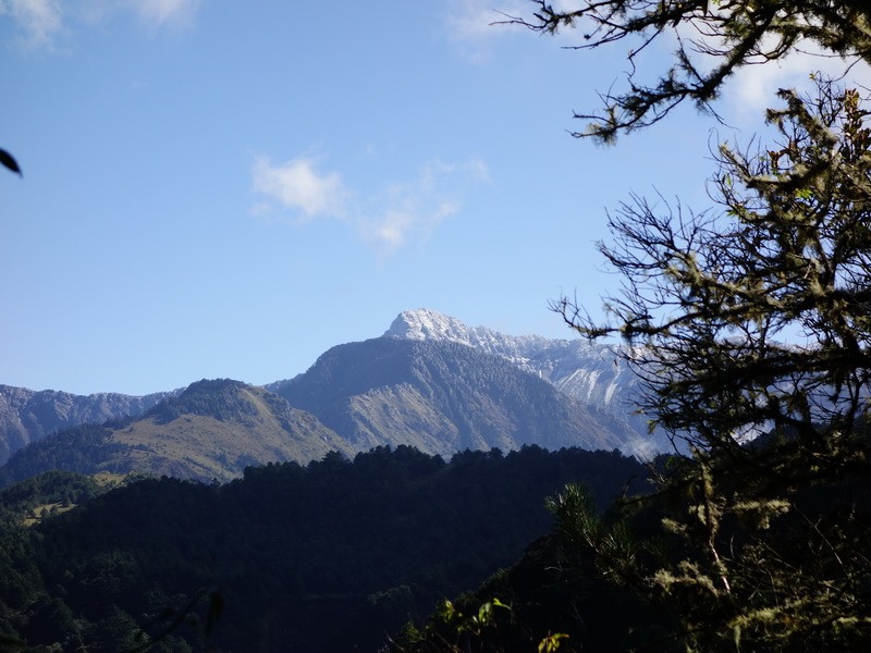 2013_1126-1129 鹿林山-1_278