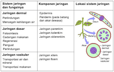 sistem jaringan 