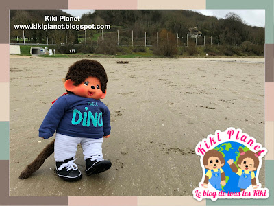 kiki monchhichi plage honfleur normandie tempête sable