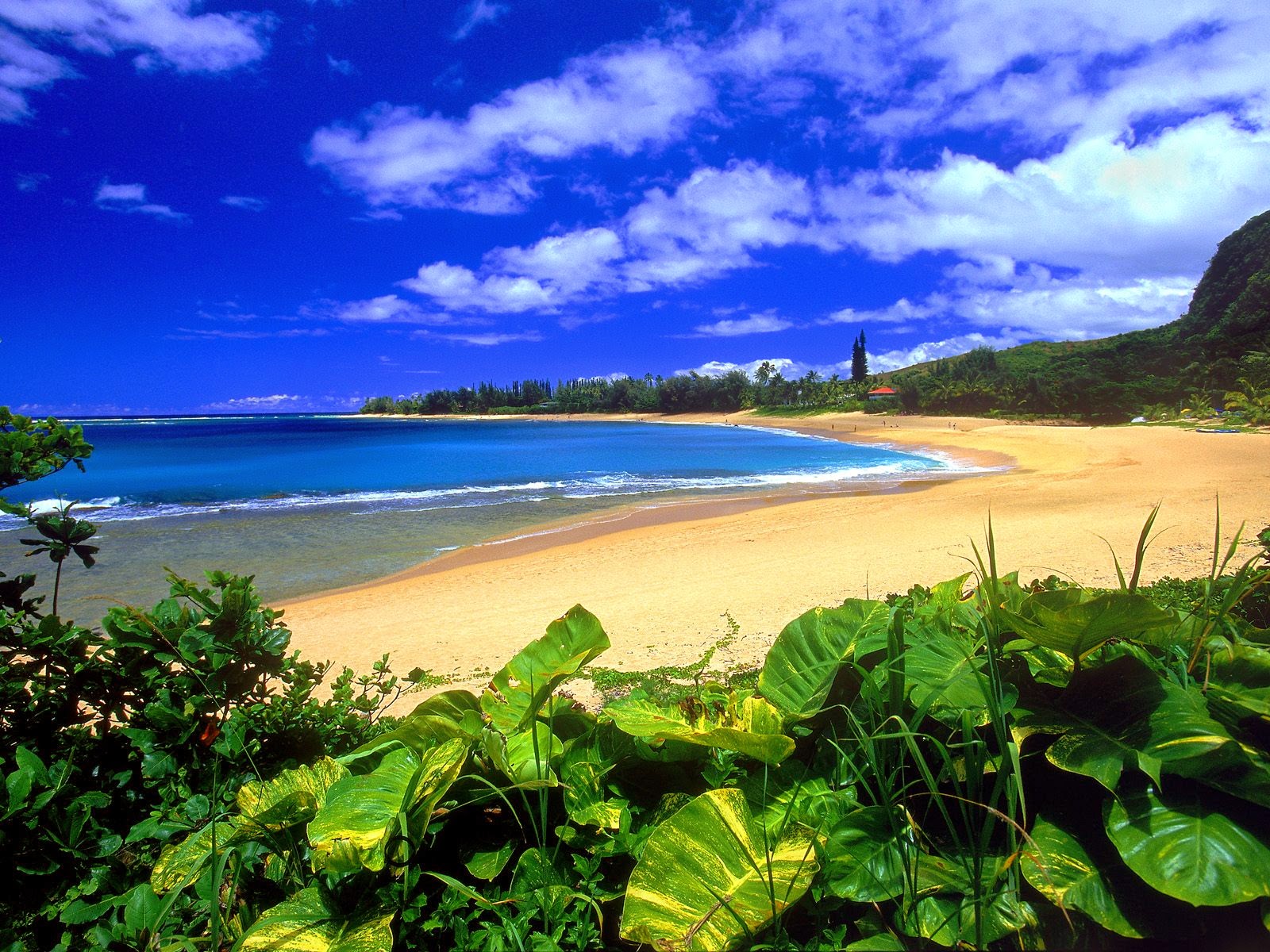 Beach Scenes Wallpaper