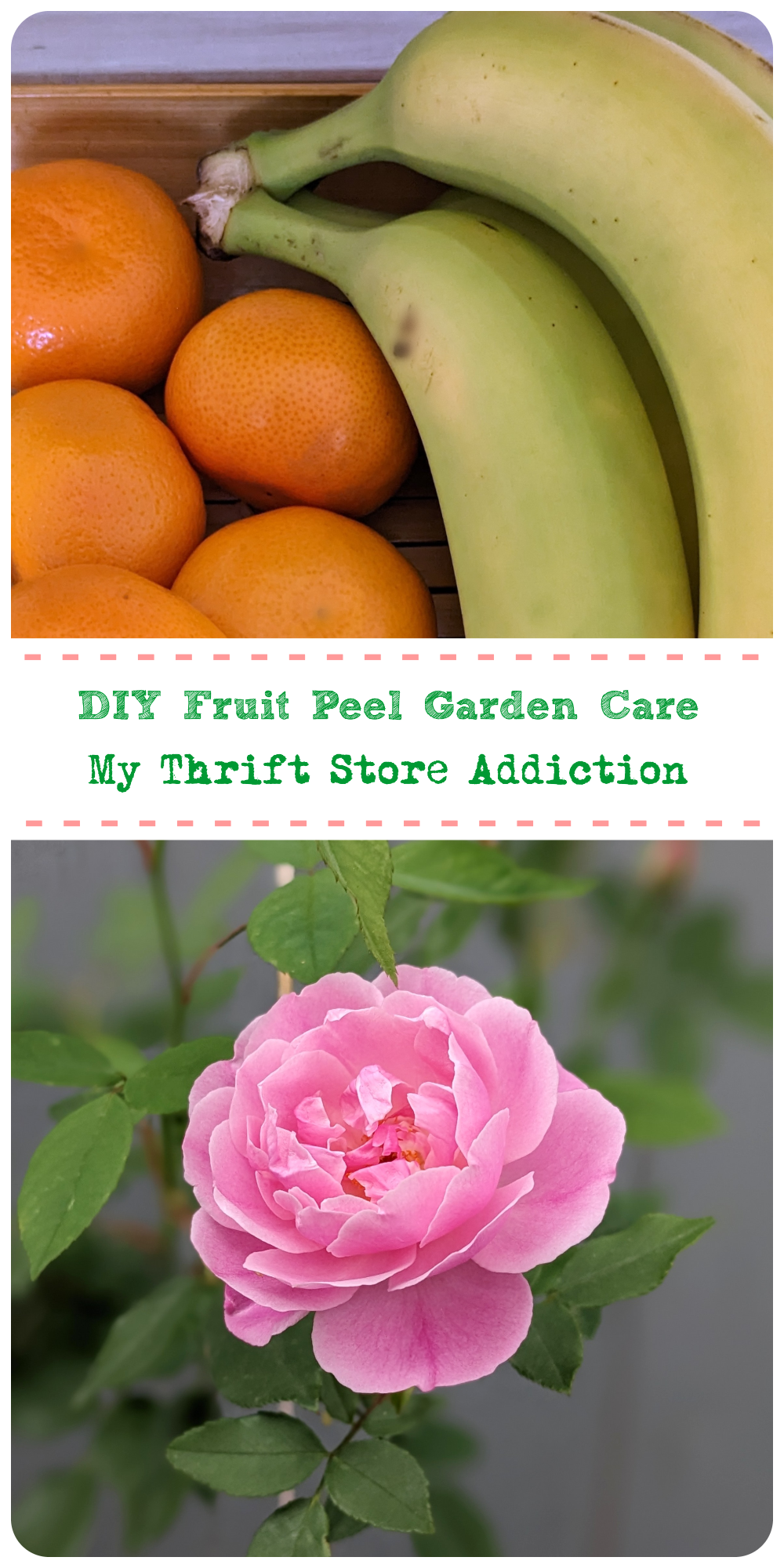 DIY fruit peel garden care