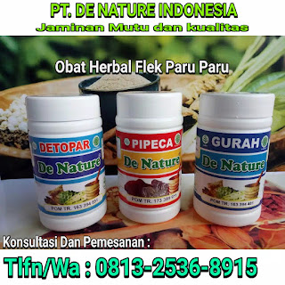 Paket Obat Tradisional Paru-Paru yang Paling Ampuh