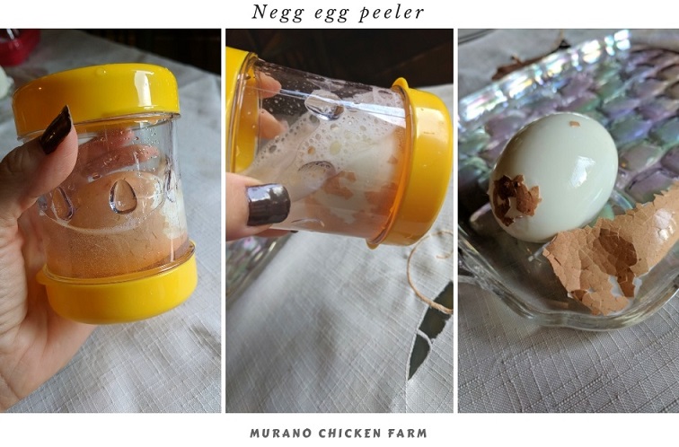 How to clean up a rotten egg (after it exploded!) - Murano Chicken Farm
