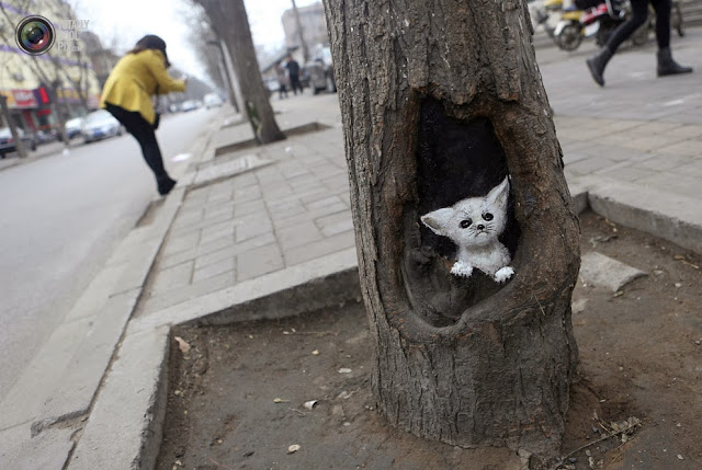 Нарисованный кот на дереве в Шицзячжуане, Китай. (Pillar Lee/REUTERS)