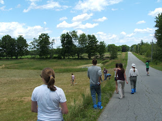 walking to the pasture