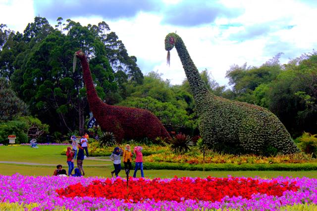 grantnsaipan Taman Bunga Nusantara Dari Bekasi