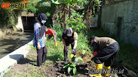 Manfaatkan Lahan Kosong, Satgas Sektor 22 Sub 07 Tanam Pohon Keras