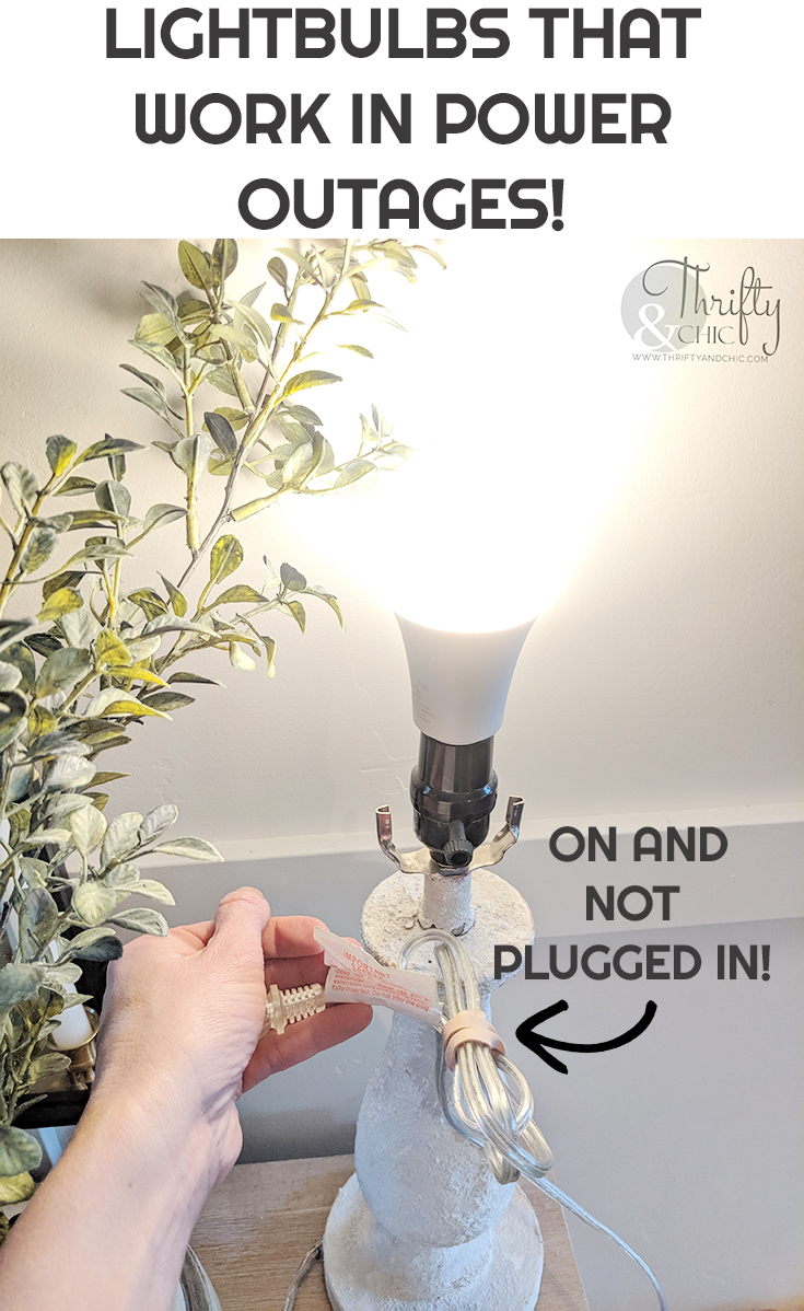 Thrifty and Chic - DIY Projects and Home Decor