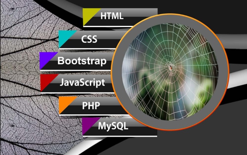 Full Stack Web Development For Beginners: Learn Ecommerce Web ...