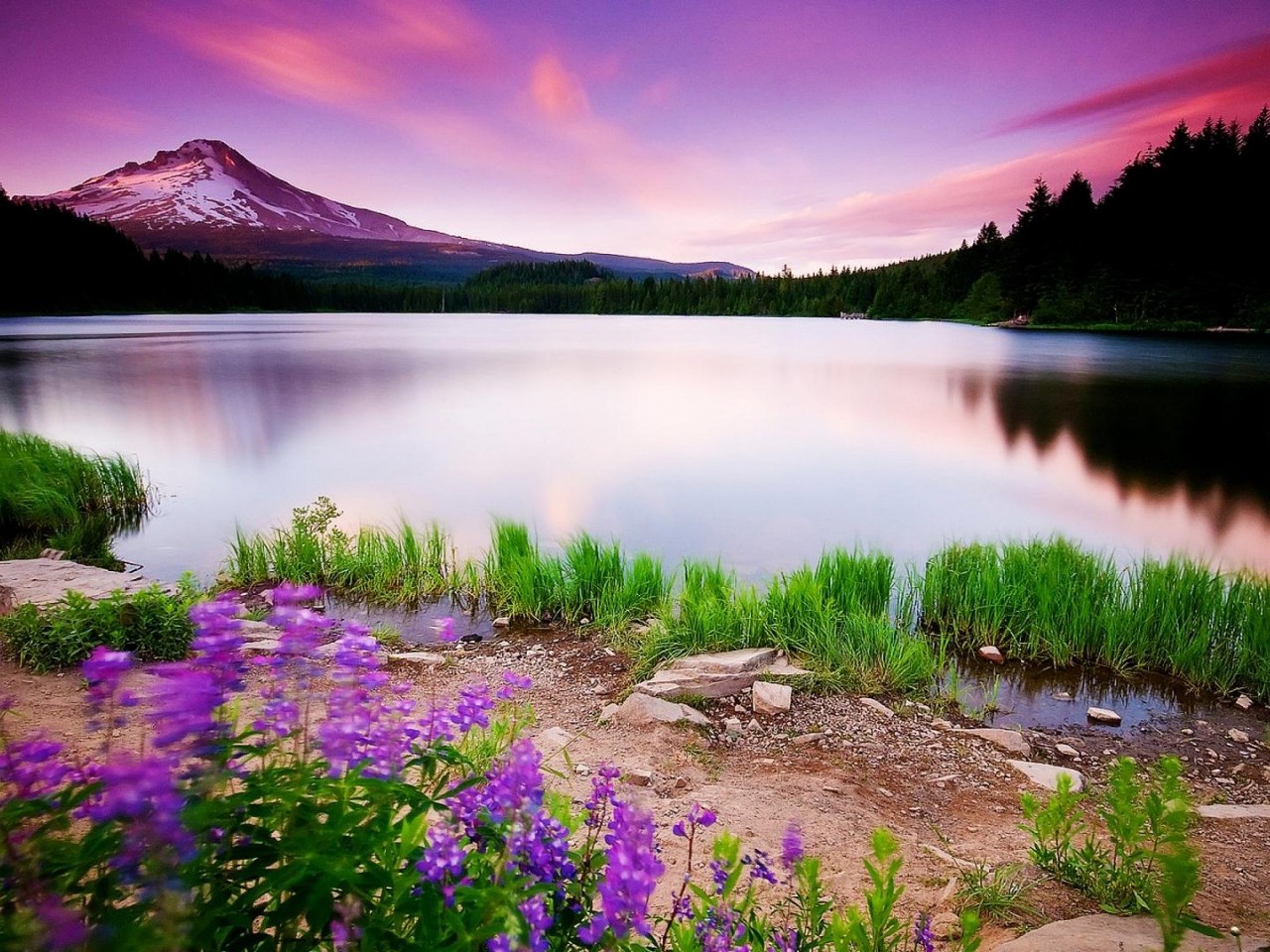 ... HD Nature Wallpapers 1280x960 2012 June | HD Desktop Wallpapers