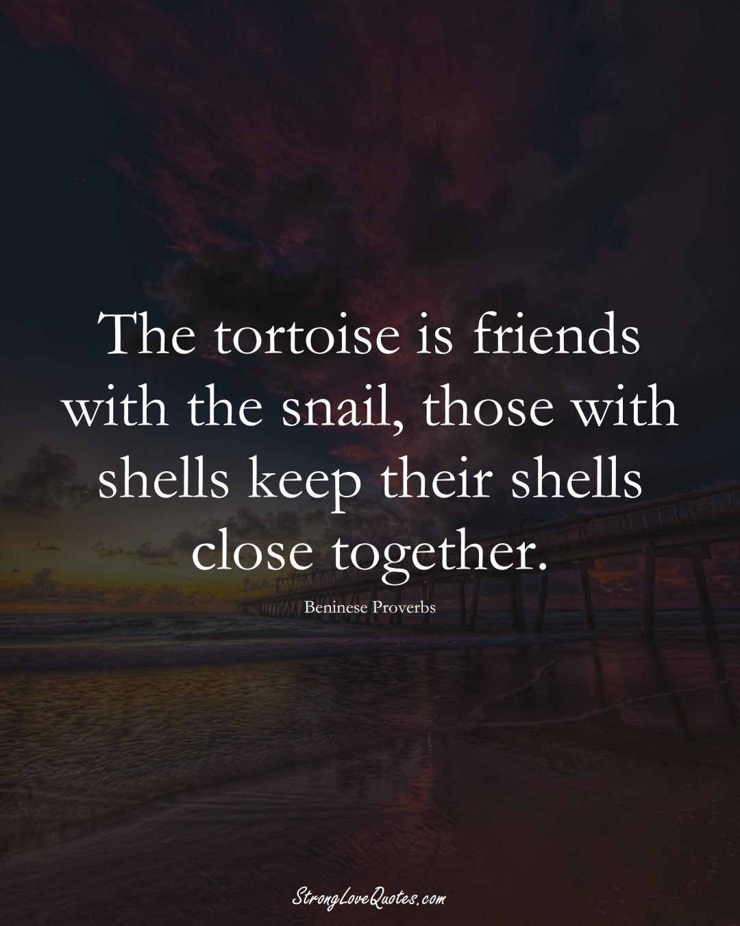 The tortoise is friends with the snail, those with shells keep their shells close together. (Beninese Sayings);  #AfricanSayings