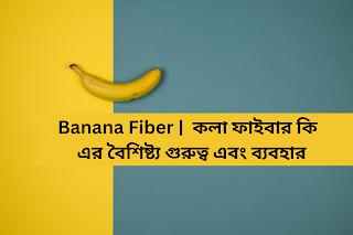 Banana Fiber |  কলা ফাইবার কি   এর বৈশিষ্ট্য গুরুত্ব এবং ব্যবহার