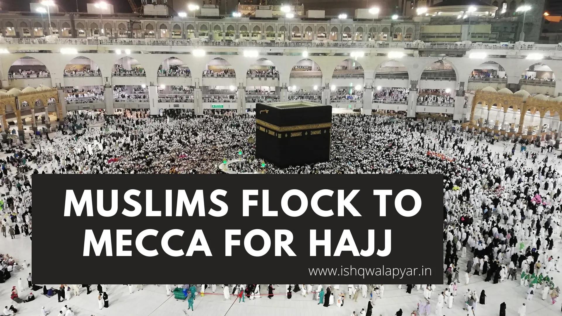 How many Muslims went for hajj this year?