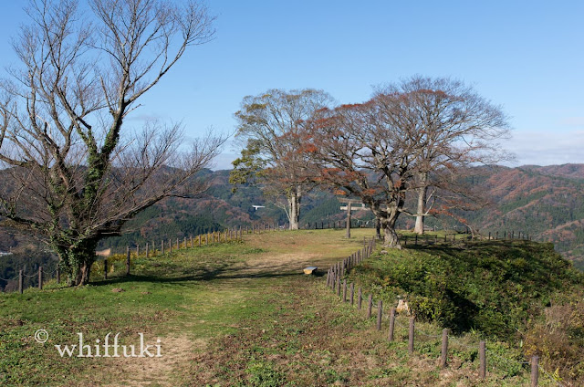 山の中の大きな曲輪と鳥居