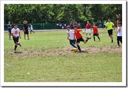 DSC_4594 (800x531)