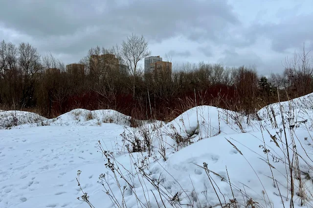 долина реки Сетунь, вид в сторону улицы Козлова